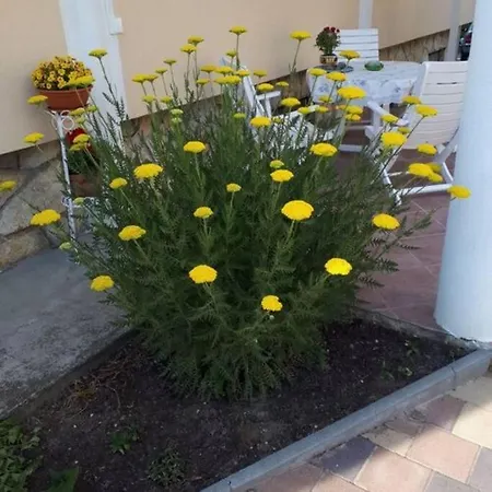 Apartment Gal Apartman